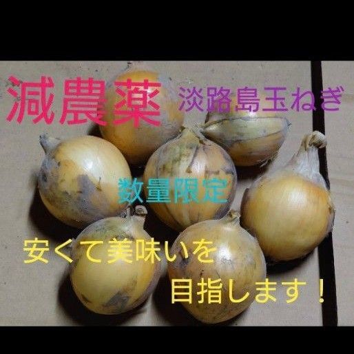 玉ねぎ 淡路島 減農薬玉ねぎ 新玉ねぎ 農家 淡路島玉ねぎ 新玉ねぎ2等品