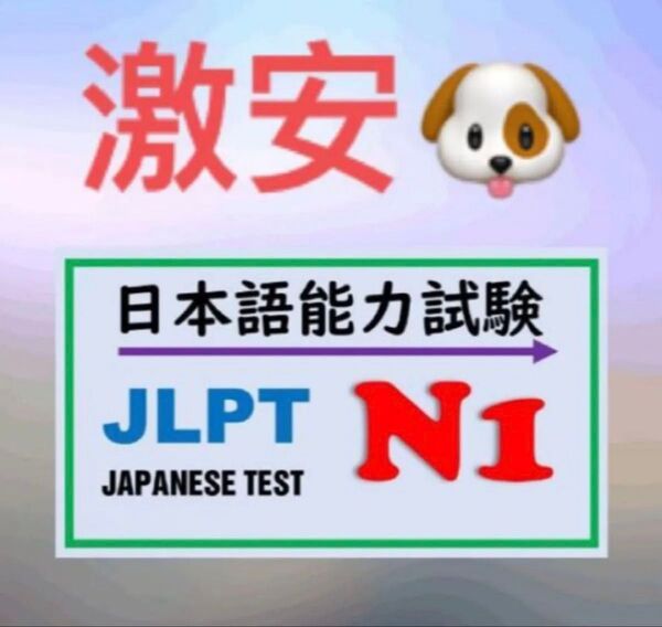 Jlpt n1JLPT N1 2023-2010 : 24回分 日本語能力試験 過去問 問題集 問題22回分のPDFデータ