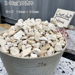 【琉球石灰岩 砂利 20kg入り】送料込み *御影石・タイル・大理石・砂利・石・石材・庭石・ロックガーデンなど*