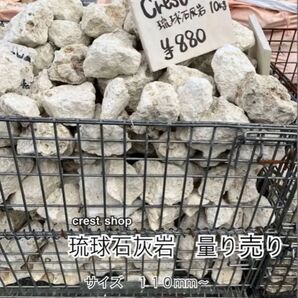 琉球石灰岩 琉球石灰岩 20kg入り 送料込み *御影石・タイル・大理石・砂利・石・石材・庭石・ロックガーデンなど*