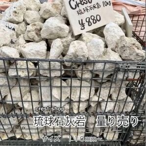 琉球石灰岩 琉球石灰岩 20kg入り 送料込み *御影石・タイル・大理石・砂利・石・石材・庭石・ロックガーデンなど*