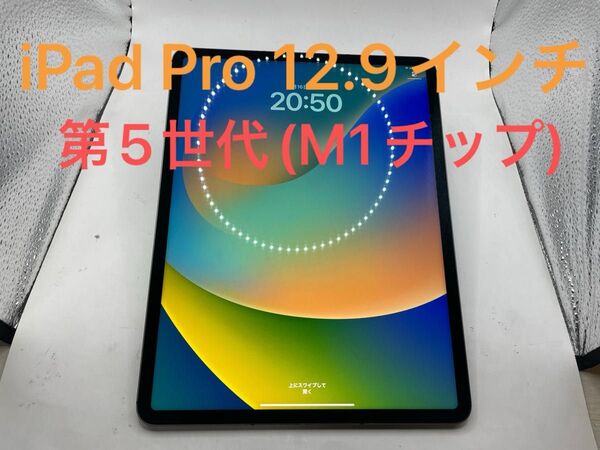 Apple iPad Pro 12.9 第5世代 128GB cellular #mon198