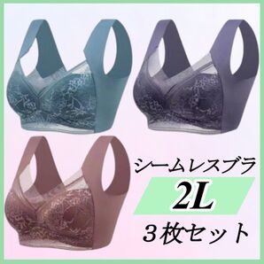 2L シームレスブラ ノンワイヤー 大きい ナイトブラ 着痩せ 美胸 まとめ売り レース 美胸 美乳 ナイトブラ ノンワイヤー