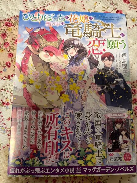 10/10発売★ ひとりぼっちの花娘は檻の中の竜騎士に恋願う ① ★