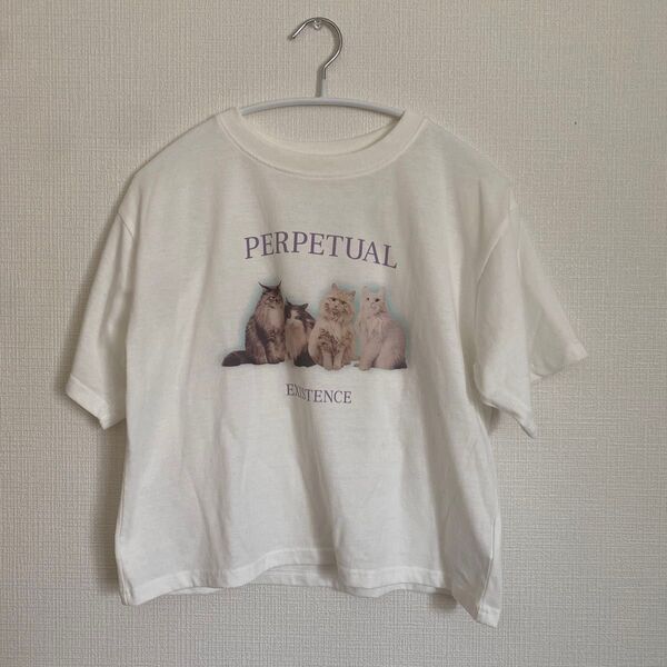 Tシャツ クルーネック 猫 ネコ プリント