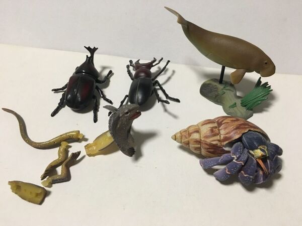 海洋堂 天然記念物 ムラサキオカヤドカリ ジュゴン フィギュア 昆虫 カブトムシ クワガタムシ エリマキトカゲ チョコエッグ