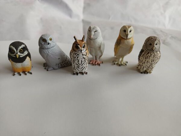 福をよぶ フクロウ大全 海洋堂 カプセルフィギュア 梟 ふくろう フィギュア メンフクロウ シロフクロウ 6体