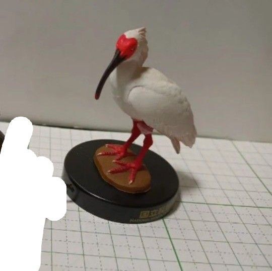 国立科学博物館 カプセルミュージアム トキ 海洋堂 フィギュア 鳥 天然記念物 カプセルq 鳥 絶滅種 絶滅危惧種 解説書あり