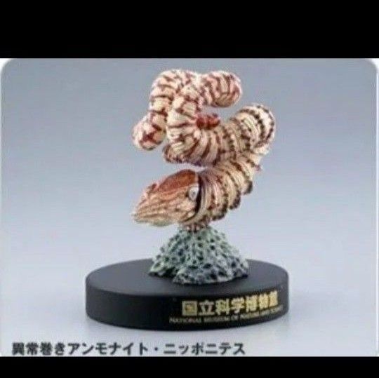 国立科学博物館 フィギュア カプセルミュージアム 異常巻きアンモナイト・ニッポニテス 新品 海洋堂 アンモナイト 化石 恐竜