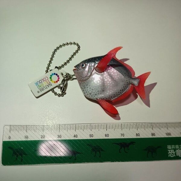 ネイチャーテクニカラー アカマンボウ 深海生物 深海魚 フィギュア ガチャポン ボールチェーン