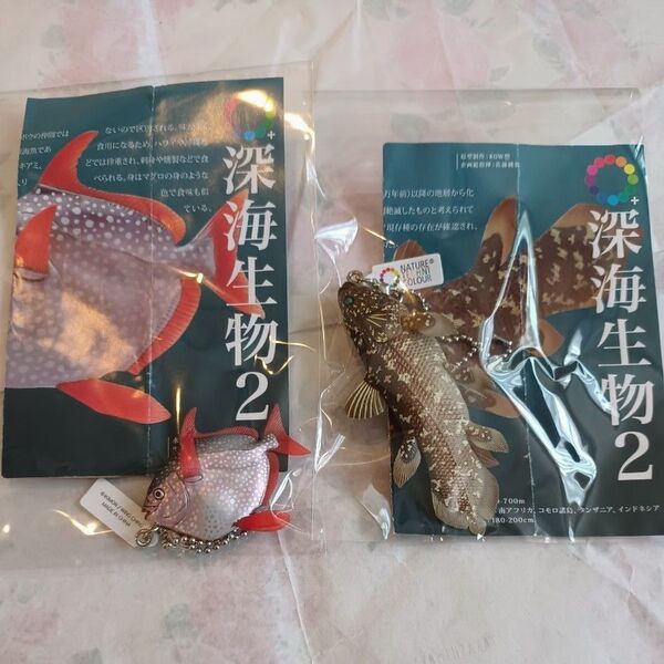 ネイチャーテクニカラー 深海魚 深海生物 シーラカンス フィギュア ガチャポン ボールチェーン いきもん アカマンボウ