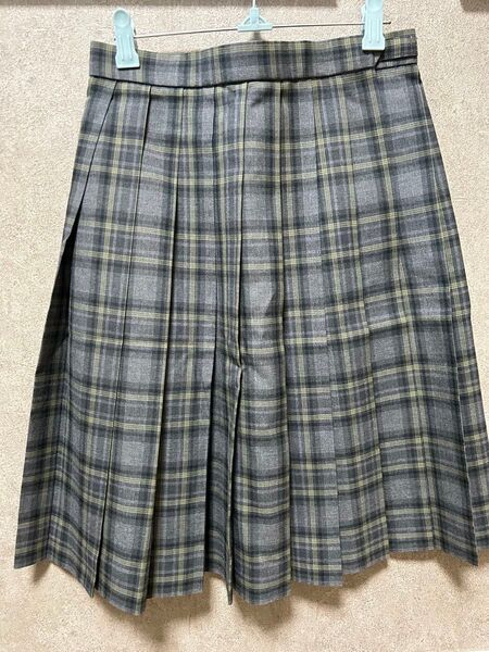 田奈高校 制服 スカート JK