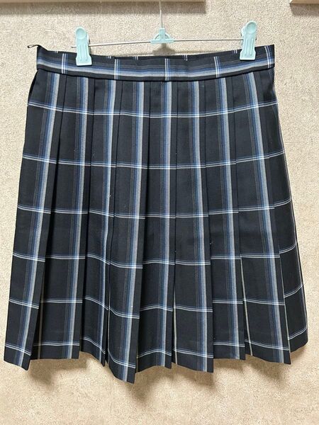 寒川高校 制服 スカート JK