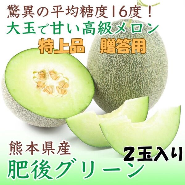 熊本県産 メロン 贈答用 送料込み