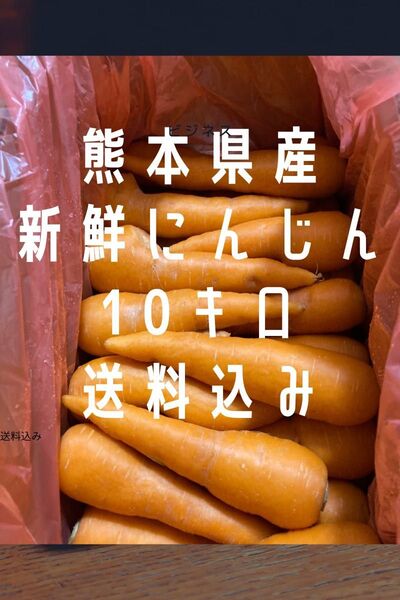 熊本県産 にんじん 10キロ 送料込み
