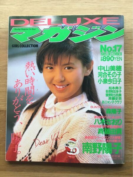 DELUXEマガジン 17 南野陽子