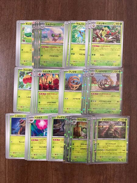 テラスタルフェスex 草タイプ 進化ライン チオンジェン ポケモンカード