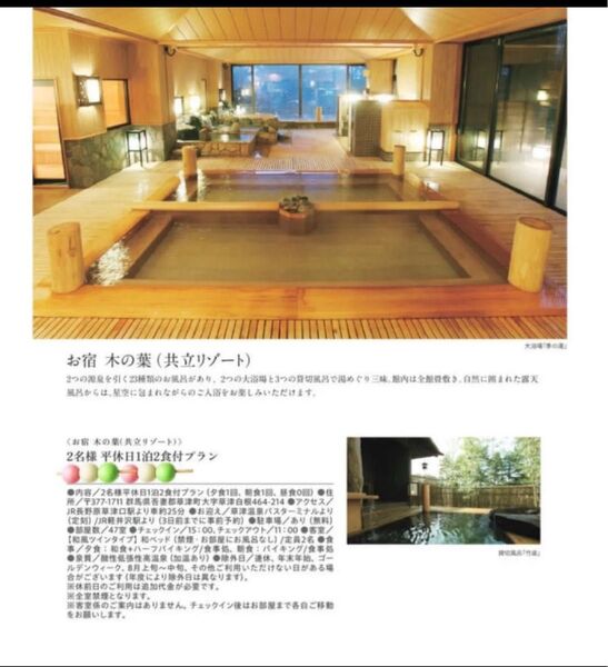共立リゾート お宿木の葉 2名様 平休日1泊2食付プラン 群馬県 JTB 草津温泉 ★カタログギフト★お値引き不可です★新規出品可