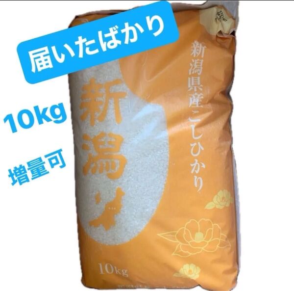 新潟県産 コシヒカリ 白米 10kg 新米 お米 ★新規出品などお気軽にお声がけください★
