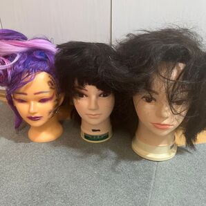 美容学生 カットウィッグ マネキン カット練習 メイクあり 三矢 レジーナ カットマネキン マネキンヘッド 美容師