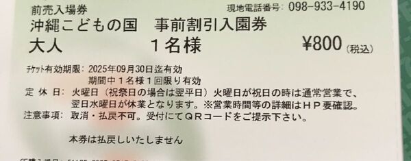 沖縄こどもの国 大人入園券 5枚
