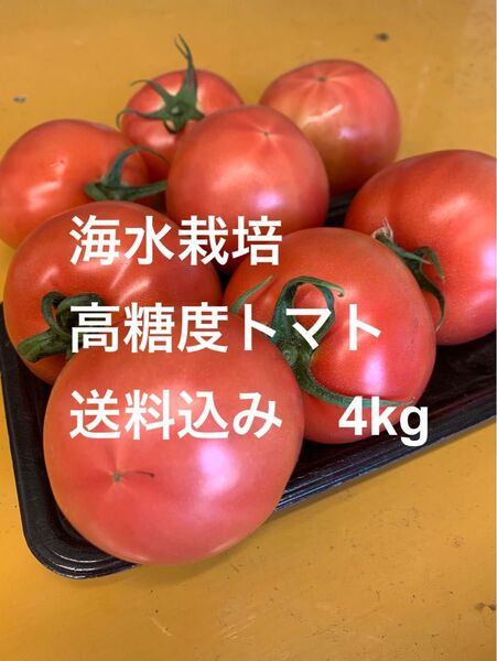 【シーズン終盤値引】海水栽培 高糖度トマト 大分県産 4kg