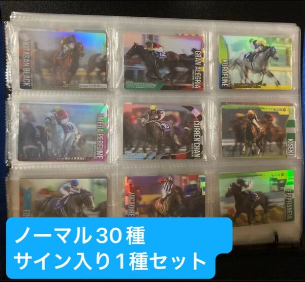 サラブレッドホースコレクション ノーマル全30種 サイン入り 1種 ソングライン おまけシール付き