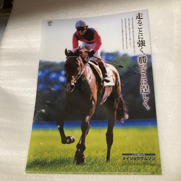 ヒーロー列伝 クリアファイル メイショウサムソン