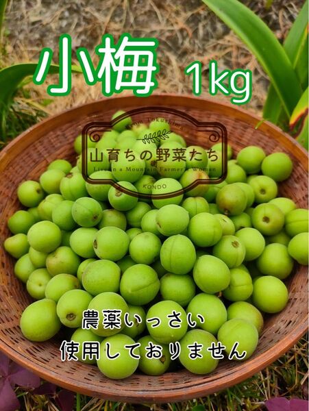 小梅1kg(1.2kg梱包)*農薬不使用*5/23収穫済み