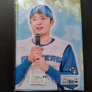 郡司裕也 ぐんぐん郡司 タオル 日本ハム ファイターズ