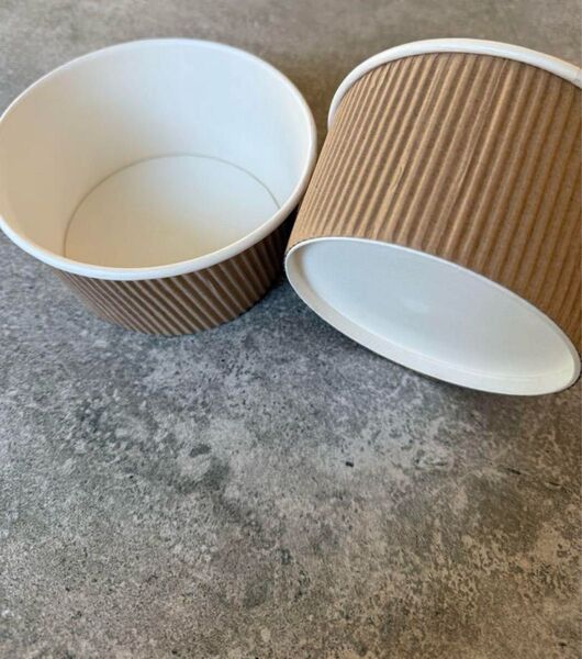 使い捨て容器 100個