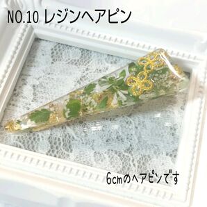 NO.10 レジンヘアピン