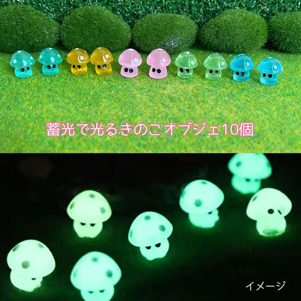 蓄光で光るきのこオブジェ10 ミニチュアB