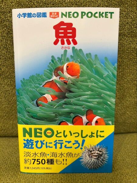 NEO POCKET 魚