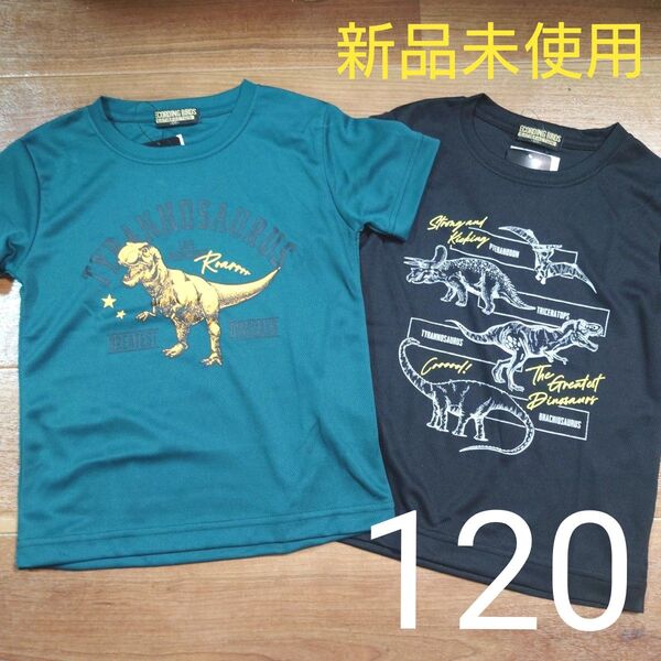 新品未使用 タグ付き 半袖 Tシャツ メッシュ素材 恐竜 緑 黒 男の子用 120cm まとめ売り