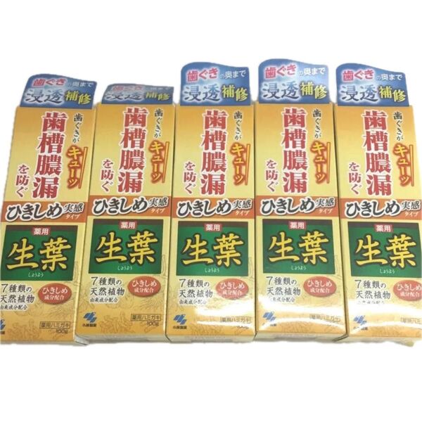 ブランド:小林製薬 生葉目的:虫歯予防 歯周病予防 ホワイトニング 100 g本数:5 本