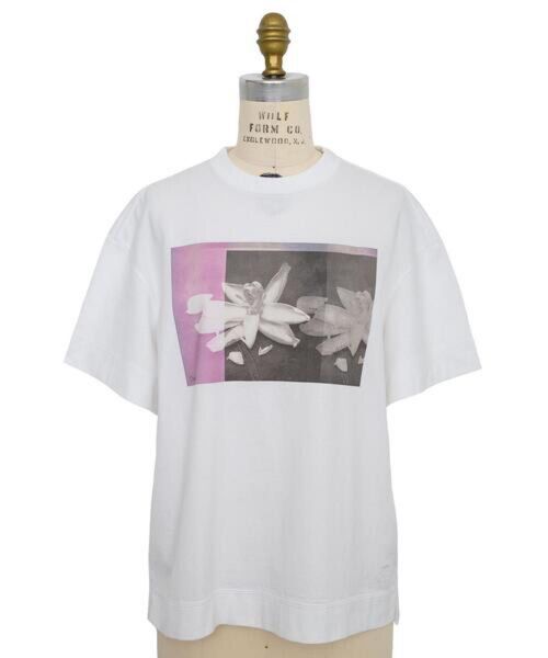 Drawer ドゥロワー コットン天竺フォトプリントTEE Tシャツ 半袖 白