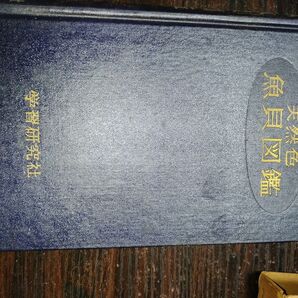 天然色 魚貝図鑑 天然色 生物図鑑シリーズ 第2巻 学習研究社