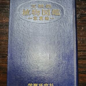 天然色植物図鑑 草花編 学習研究社