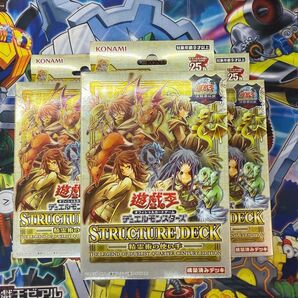【特価】遊戯王 精霊術の使い手 決闘者伝説 3個 未開封 東京ドーム