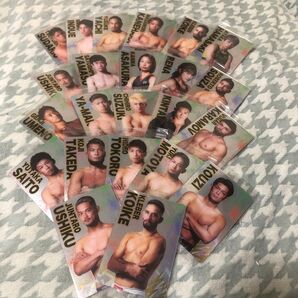 RIZIN ファイターカード まとめ売り