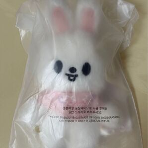 【未開封】Stray Kids スキズ SKZOO PLUSH 10CM Ver. - SKZ 5'CLOCK リービット リビ