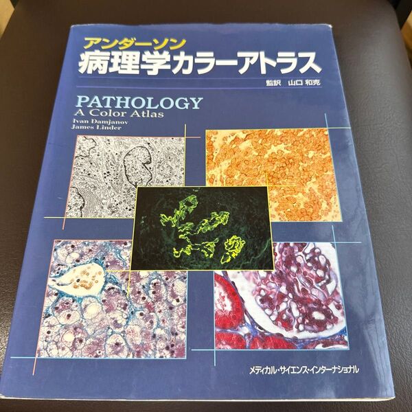 アンダーソン病理学カラーアトラス Ivan Damjanov/〔著〕 James Linder/〔著〕 山口和克/監訳 山口和克/