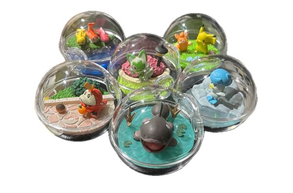 ポケットモンスター テラリウムコレクションEX パルデア ポケモン