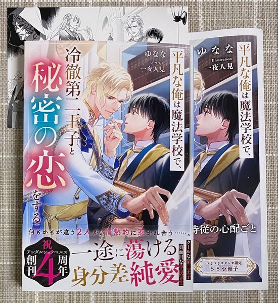 平凡な僕は魔法学校で、冷徹第二王子と秘密の恋をする/特典付き