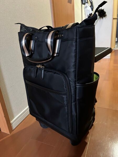SWANY スワニーキャリーバッグ D-630 ポルド イス付 L21サイズ ブラック×ブラック色