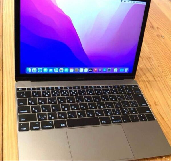 Apple MacBook 12インチ スペースグレイ
