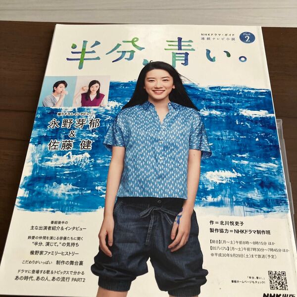 永野芽郁 佐藤健 半分、青い。インタビューofficial ガイドブック写真集