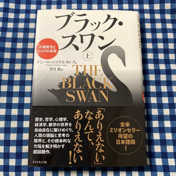 ブラック・スワン 不確実性とリスクの本質 上 ナシーム・ニコラス・タレブ/著 望月衛/訳