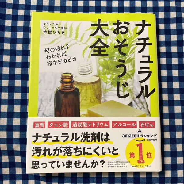 ナチュラルおそうじ大全 何の汚れ?わかれば家中ピカピカ 本橋ひろえ/著